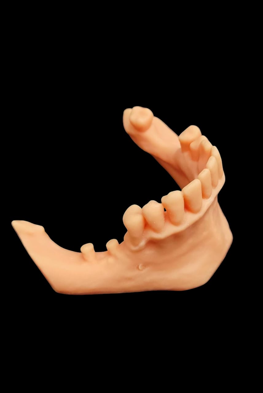 Biomodelo 3D